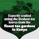image 4 of PG Tips Original Tea Bags 40 Pack 116g