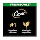 image 2 of CESAR Dog Food Fresh bowls with Duck Red Rice Carrots and Purple Potatoes 85g