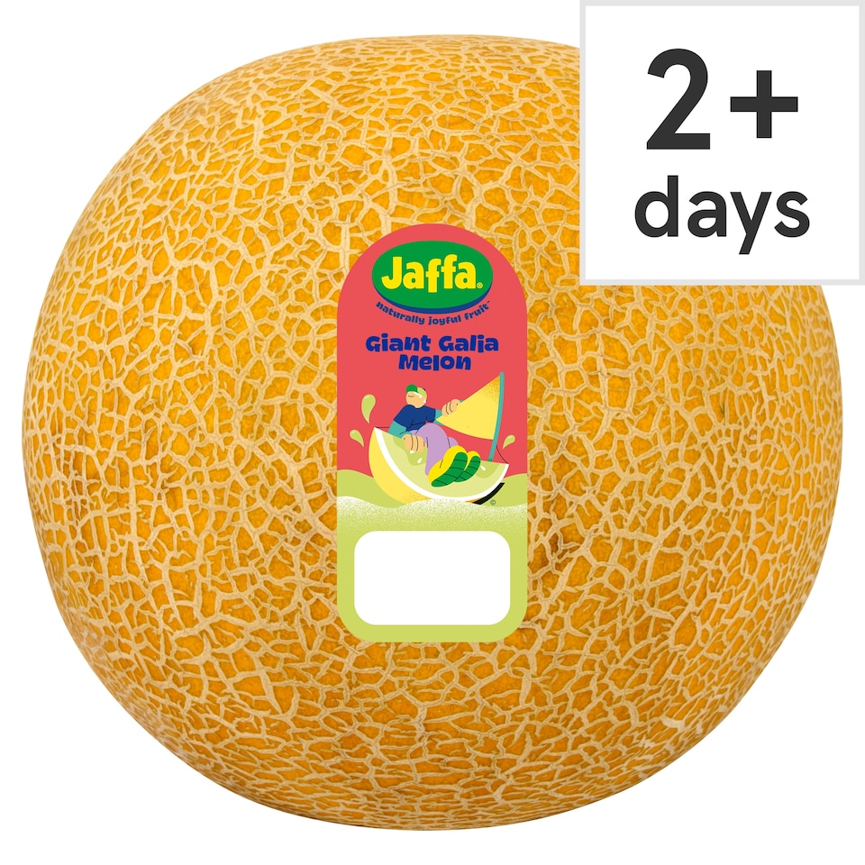 Jaffa Giant Galia Melon Each