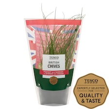 Tesco Bulb Chives Medium Pot