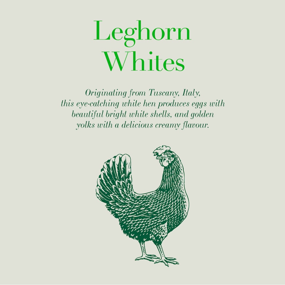 image 1 of Clarence Court Traditional Leghorn Whites Free Range Eggs 6 Pack