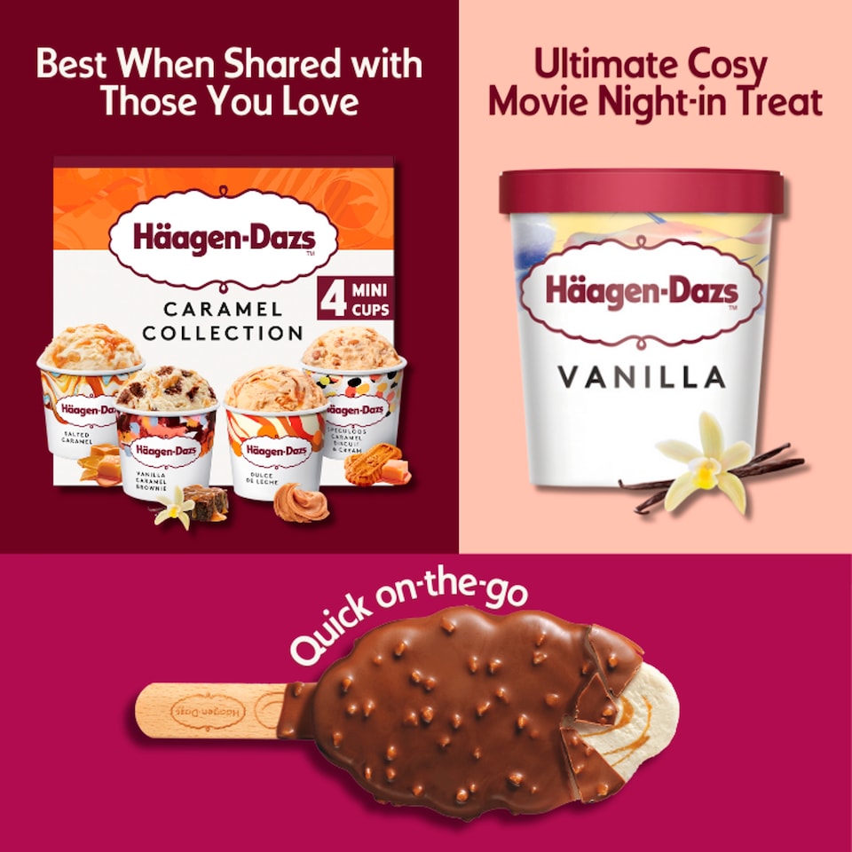 image 1 of Haagen-Dazs Vanilla Ice Cream 460Ml