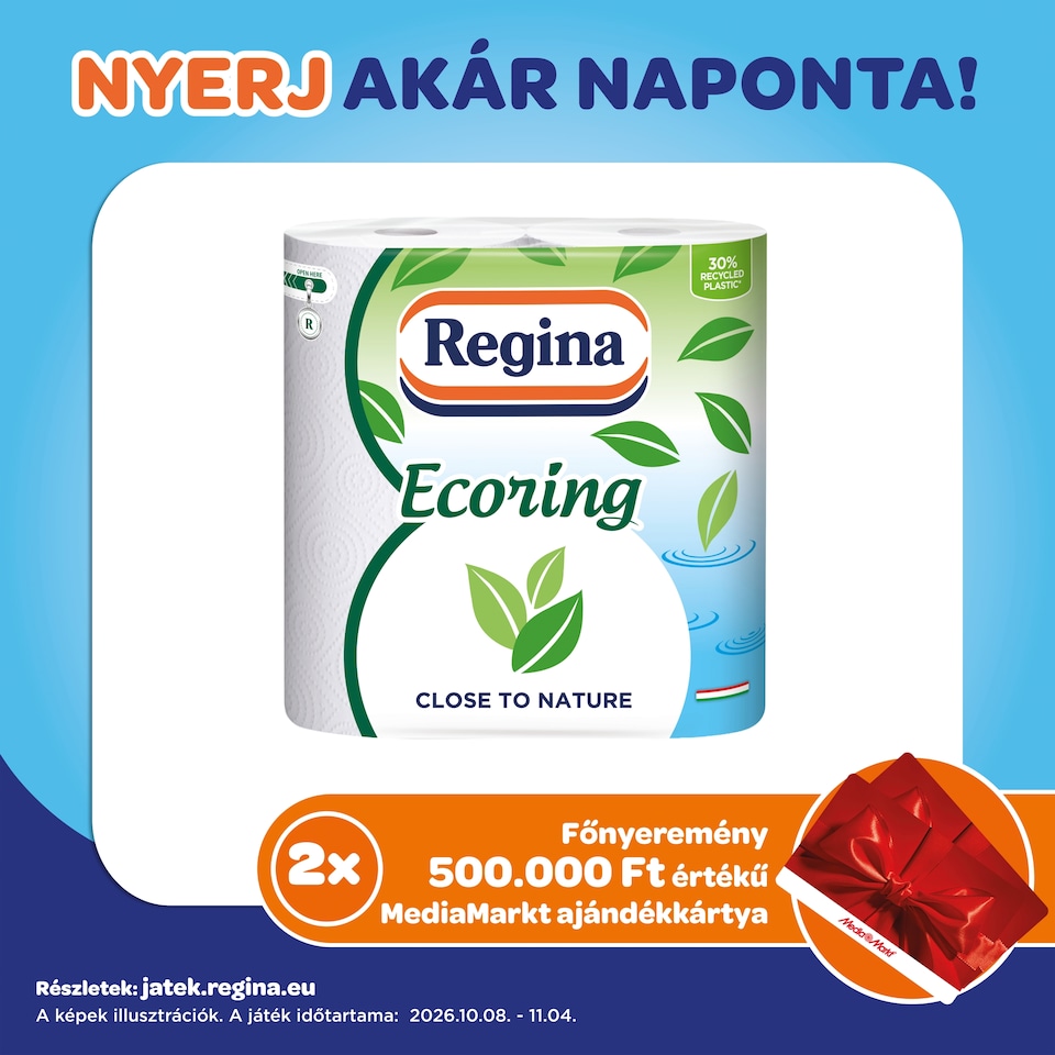 Regina Ecoring Kitchen Towel 2 Ply 2 Rolls