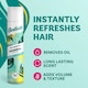 image 2 of Batiste Original Dry Shampoo 350Ml