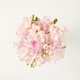 image 3 of Freesia Bh