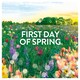 image 2 of Lenor Fabric Enhancers Granules First Day of Spring XL Pack 495g