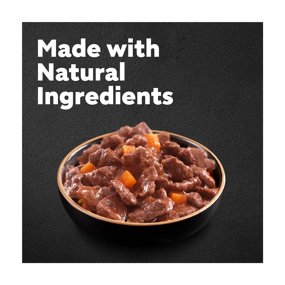 image 1 of CESAR Adult Wet Dog Food Pouches Sauce Mixed Selection in Gravy 40x100g