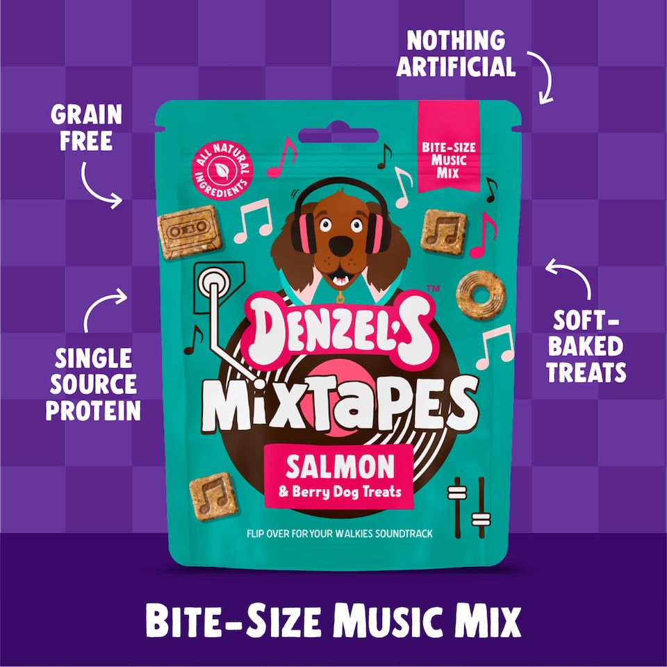 image 1 of Denzel's Mixtapes - Salmon & Mixed Berries Dog Treats 90g
