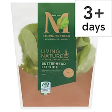 Morning Fresh Living Nature Butterhead Lettuce