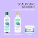 image 5 of Timotei Scalp Care Rosemary Oil & Allantoin Shampoo 300ml
