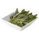 image 2 of Tesco Fresh Herbs Sage 20G