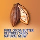 image 5 of Vaseline Body Lotion Cocoa Radiant Ultra Hydrating Lipids + Pure Cocoa Butter 600ml