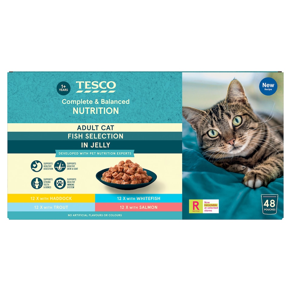 Tesco Adult Cat Fish Selection in Jelly Pouch 48x100g