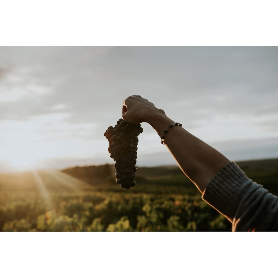 image 1 of Contino Reserva Rioja 75cl