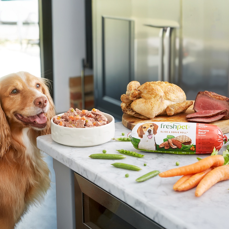 image 1 of Freshpet Beef Recipe with Peas & Carrots Fresh Dog Food Roll 700g