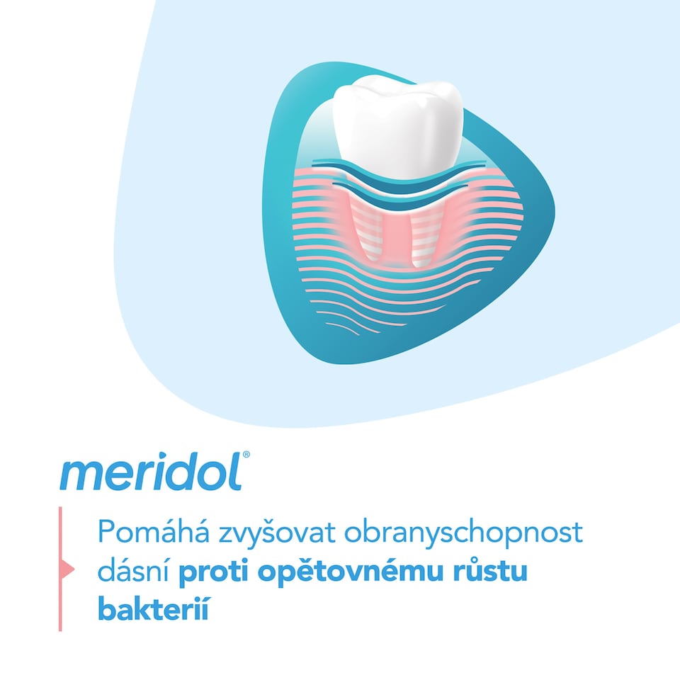 Obrázek 1 pro produkt meridol®Gum Protection zubní pasta pro ochranu dásní 2x 75 ml