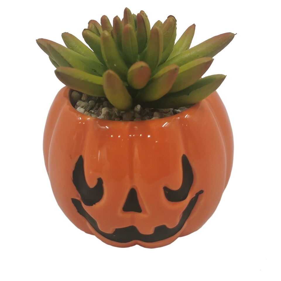 Bayswood Artificial Succulent in Pumpkin Pot