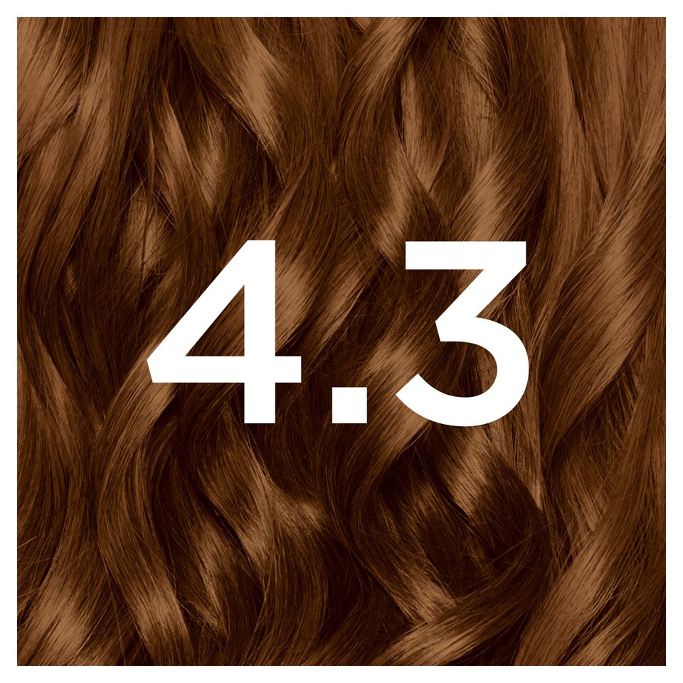 image 1 of Garnier Nutrisse Creme Permanent Hair Colour - Dark Golden Brown 4.3