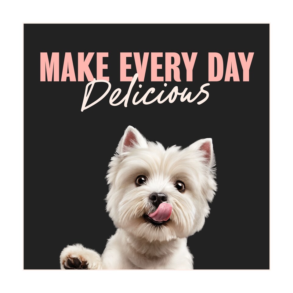 image 1 of CESAR Dog Pouches Creations in Sauce 12x100g