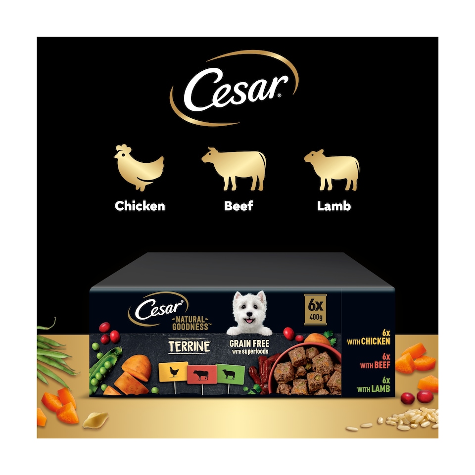 image 1 of Cesar Natural Goodness Wet Dog Food Tin Can Mixed Terrine 6x400g