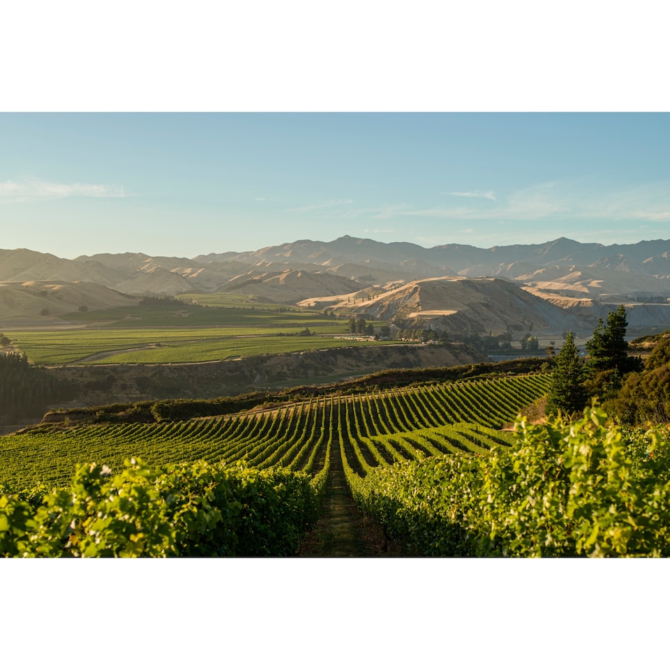 image 1 of Villa Maria Reserve Sauvignon Blanc - Coastal Awatere 75cl