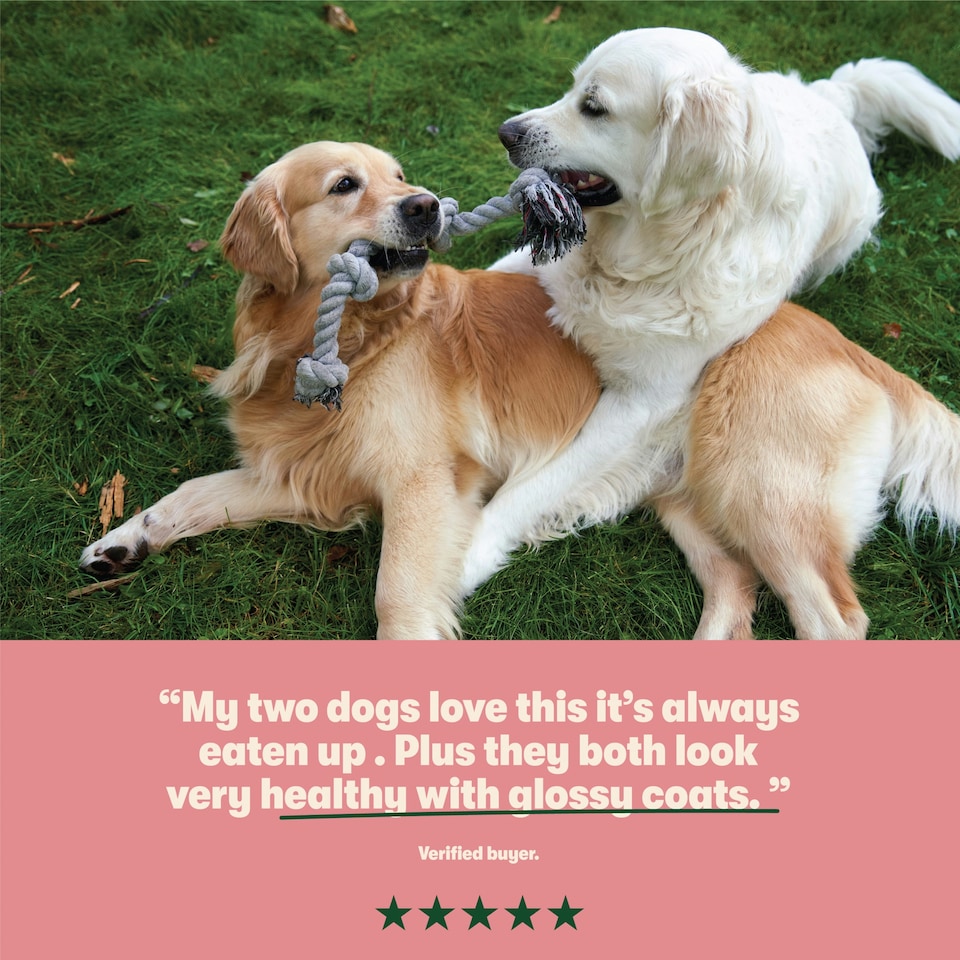 image 1 of Harringtons Adult Salmon & Potato 1.7Kg