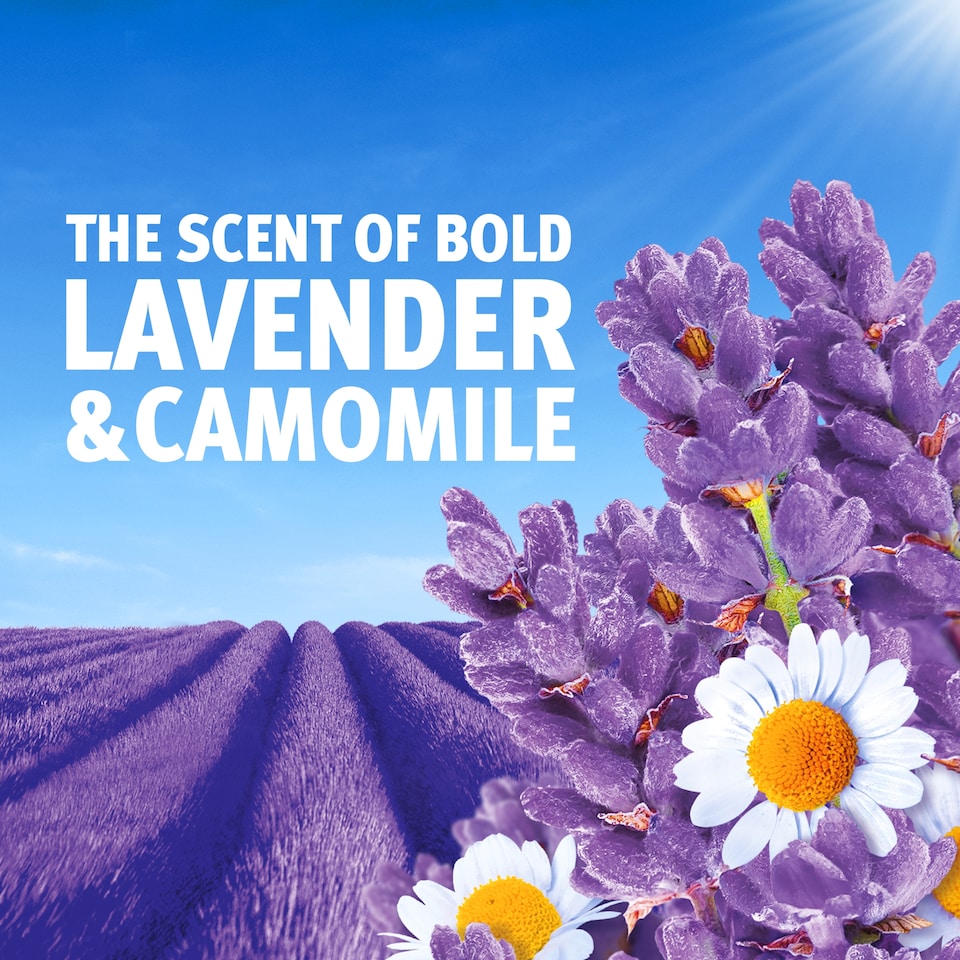 image 1 of Bold Gel Laundry Detergent - Lavender & Camomile 40 Washes 1.32L