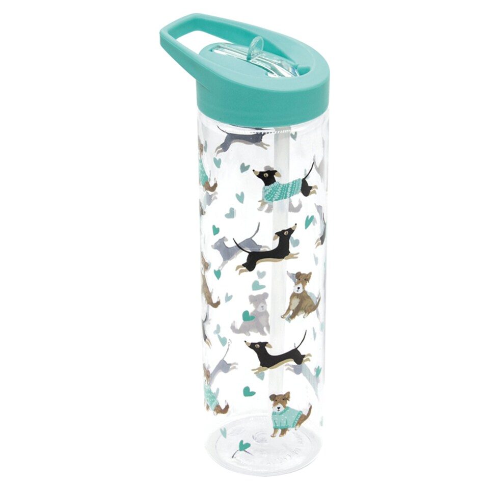 tesco-dog-bottle-550ml-tesco-groceries