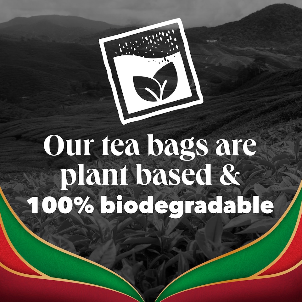 image 1 of PG Tips English Breakfast Speciality Tea 70 Tea Bags 175g