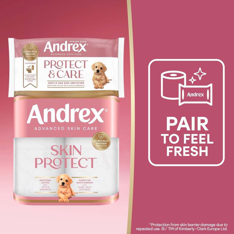 image 1 of Andrex Hygiene Wipes - Protect & Care 36 wipes