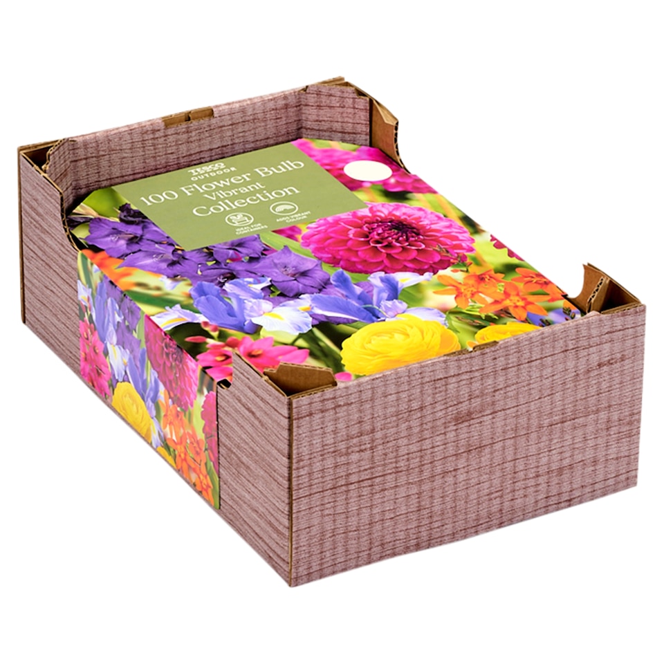 Tesco Outdoor 100 Flower Bulb Vibrant Collection