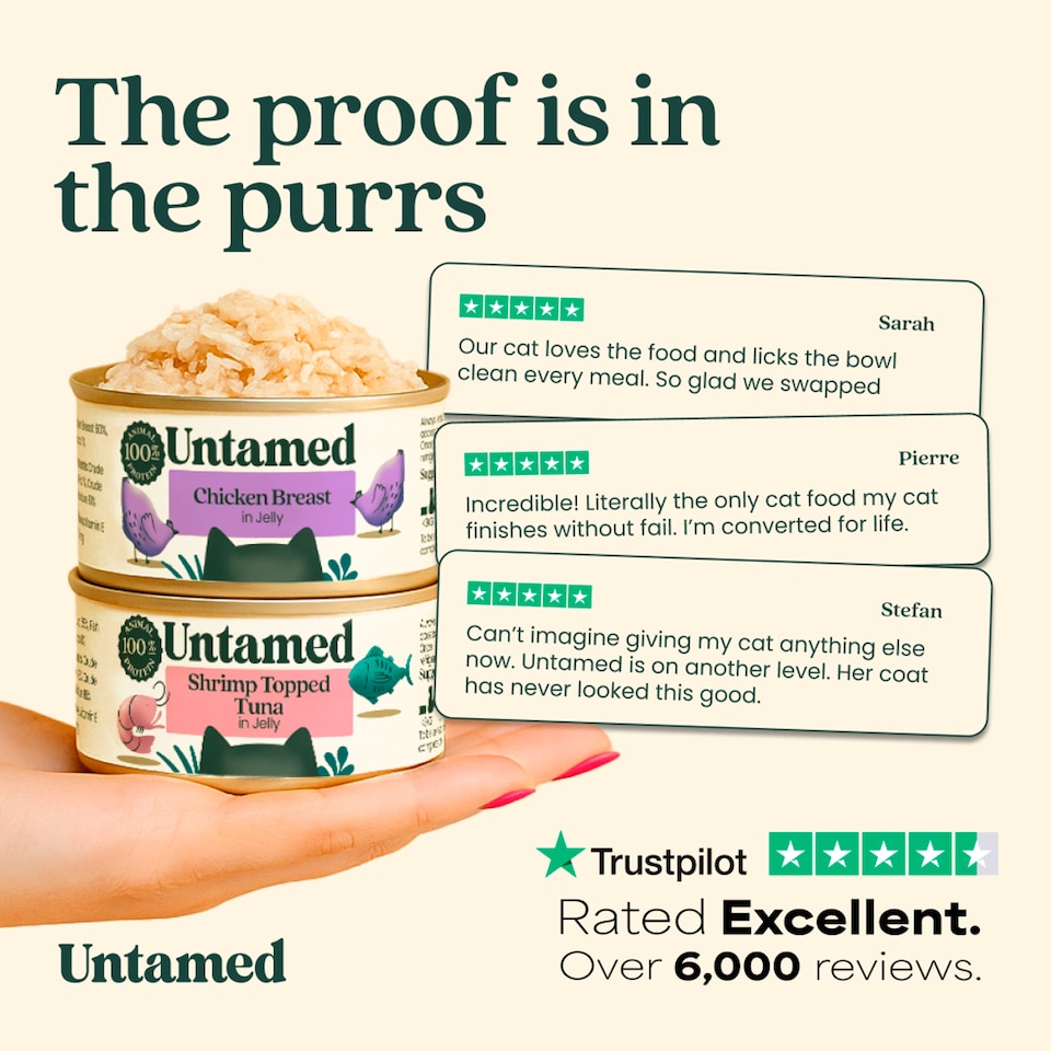 image 1 of Untamed Chicken Breast in Jelly Cat Food 75G 