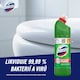 Obrázek 3 pro produkt Domestos Extended Power Pine 750ml