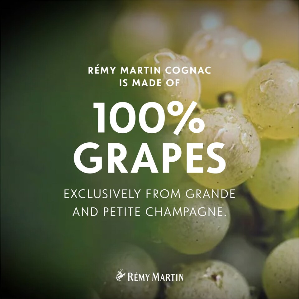 image 1 of Remy Martin V.S.O.P. Cognac 70Cl