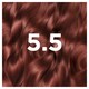 image 2 of Garnier Good Permanent Hair Colour - 5.5 Auburn Hibiscus Brown