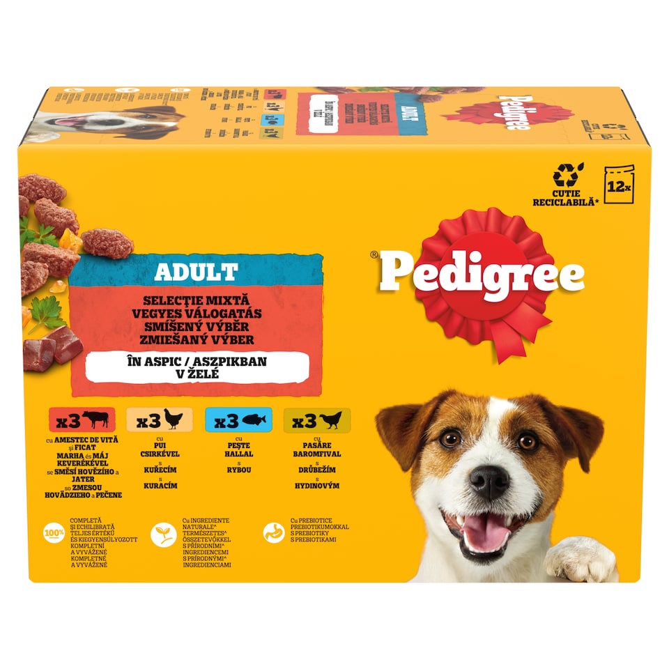 Pedigree Adult zmiešaný výber v želé 12 x 100 g (1,2 kg)