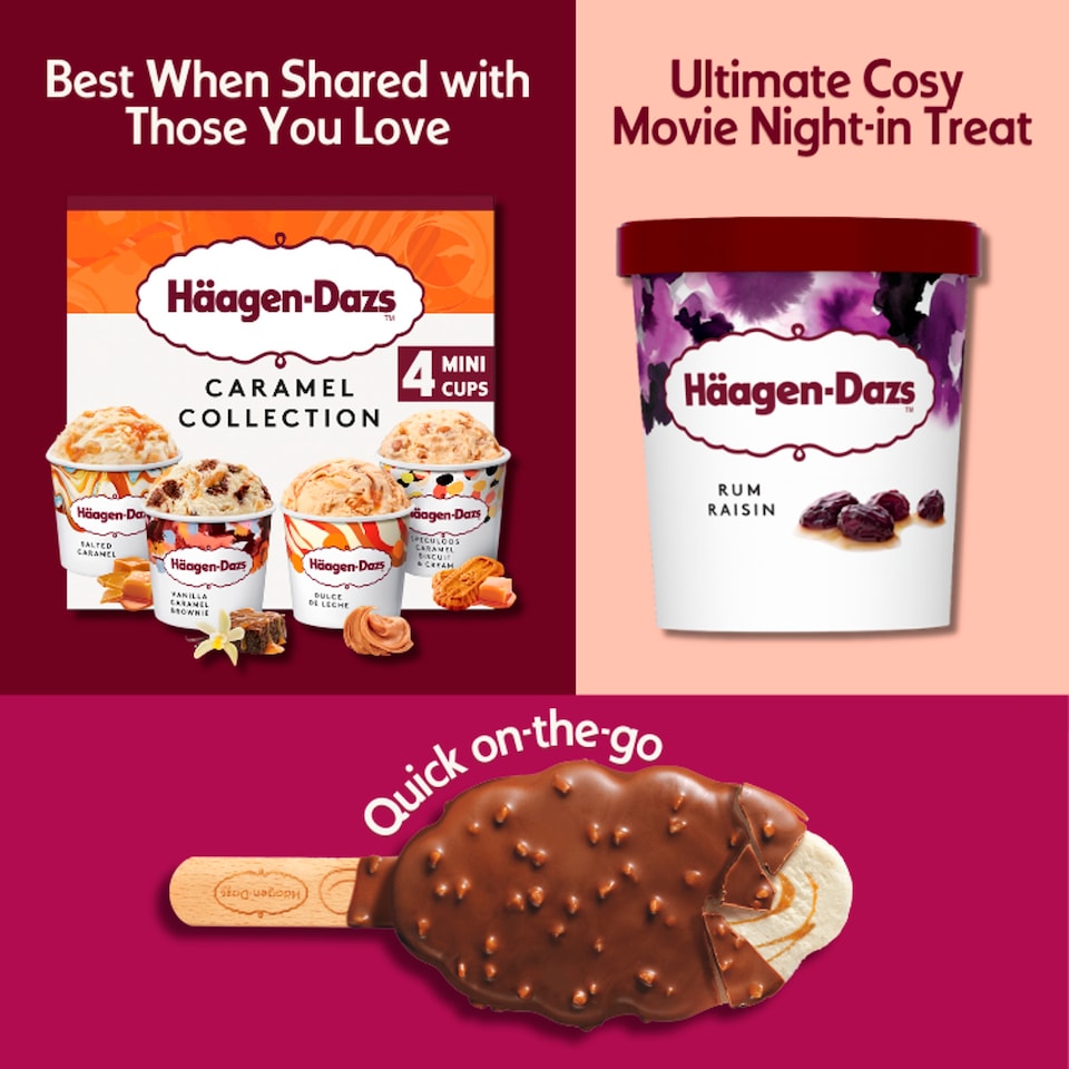 image 1 of Haagen-Dazs Rum Raisin Ice Cream 460ml