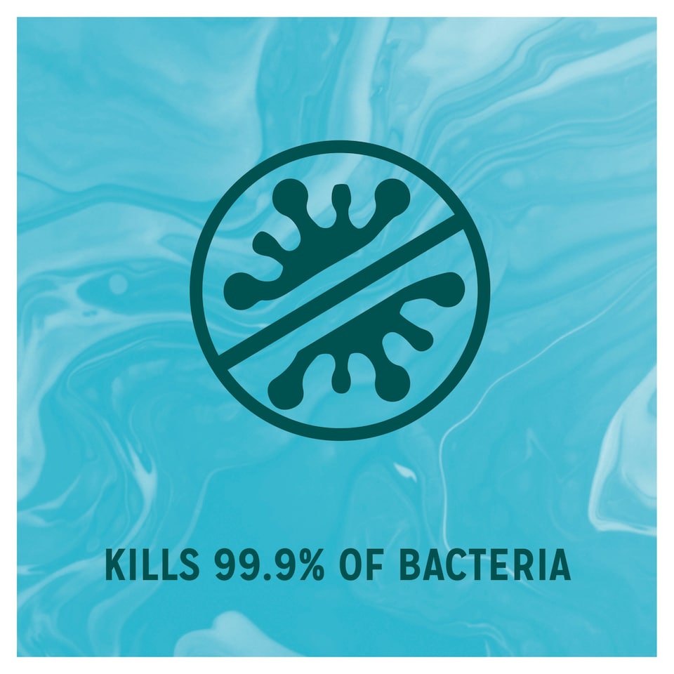 image 1 of Radox Protect & Replenish Liquid Soap Antibacterial Handwash 250ml