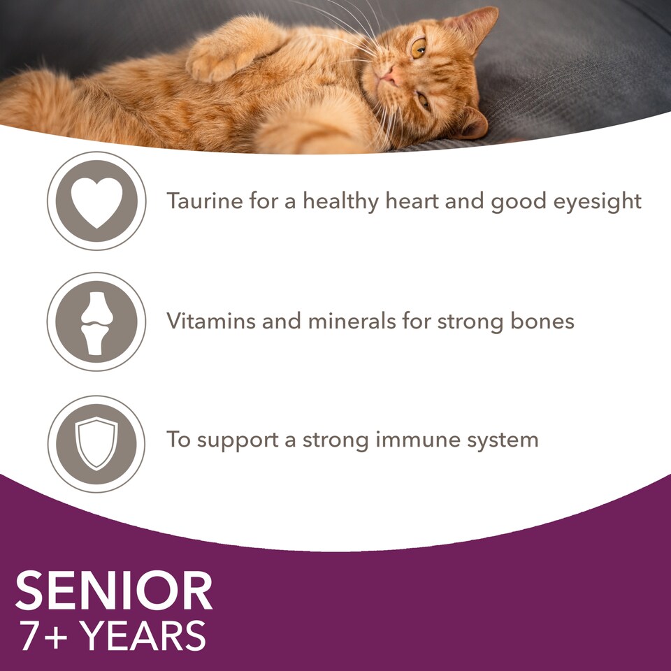 image 1 of Iams Delights Land & Sea In Gravy 12 X 85G