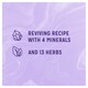 image 4 of Radox Good Vibes Shower Gel 250Ml