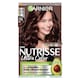 image 1 of Garnier Nutrisse 5.25 Ultra Frosted Chesnut Brown Permanent Hair Dye