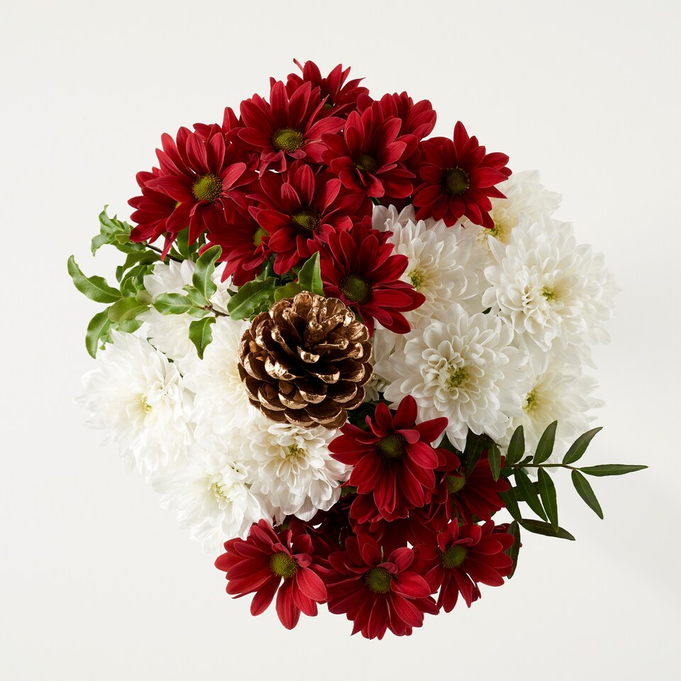 image 1 of Good Tidings