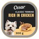 image 1 of CESAR Wet Dog Food Garden Terrine with Chicken in Loaf 300g