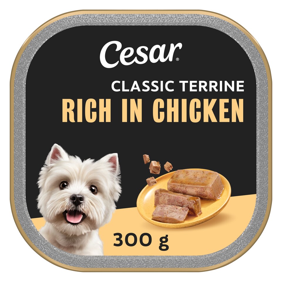 image 1 of CESAR Wet Dog Food Garden Terrine with Chicken in Loaf 300g