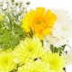 image 2 of Tesco Sizzle Flowers Bouquet