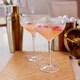 image 2 of Chapter B Cocktail Coupe 2 Pack