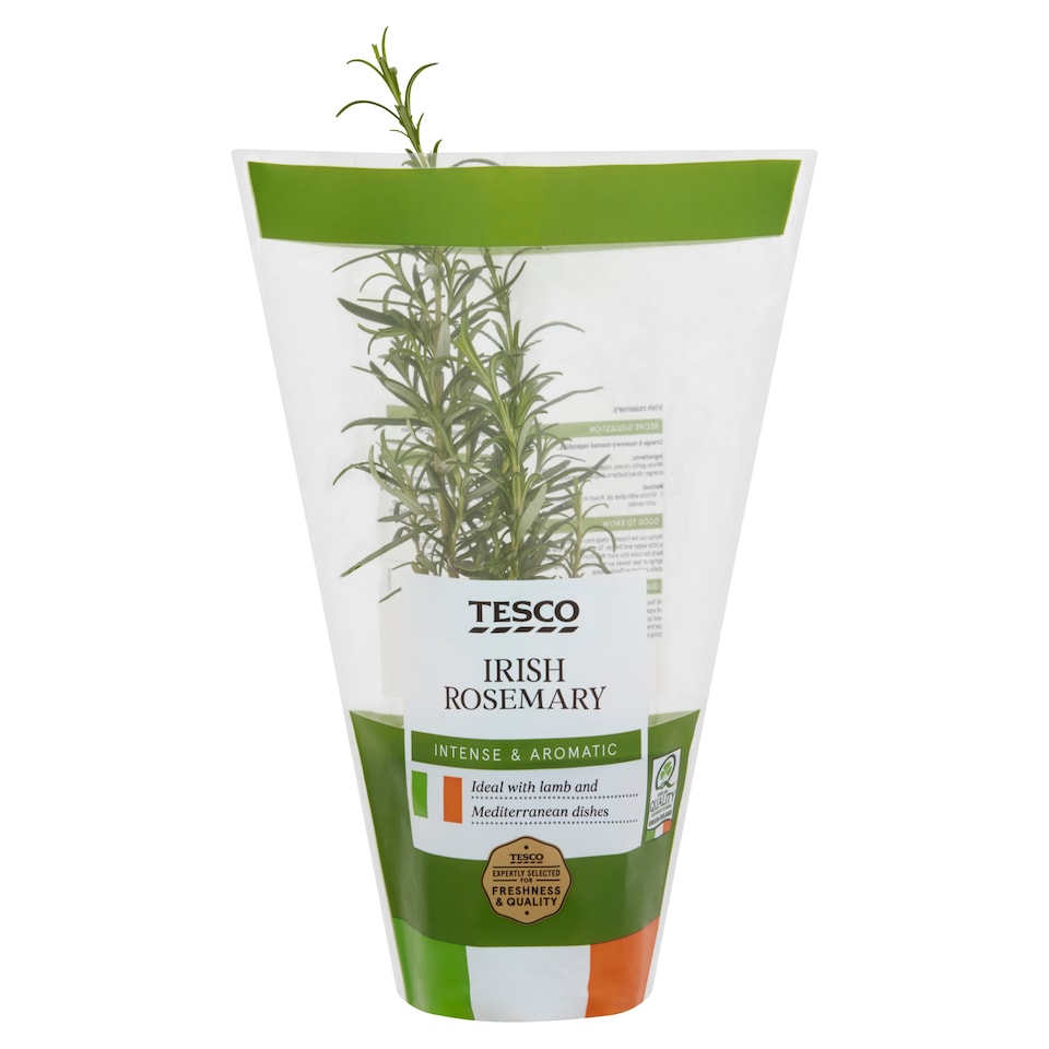 image 1 of Growing Herbs Rosemary