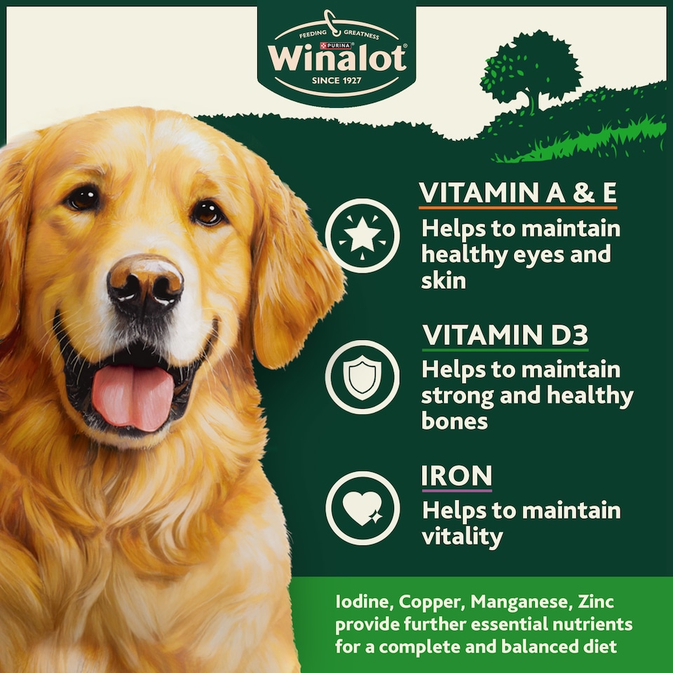 image 1 of Winalot Adult Dog Food with Chicken in Jelly 12 x 400g
