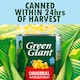 image 4 of Green Giant Original Sweet Corn 4X198g