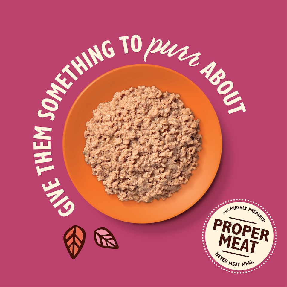image 1 of Lily’s Kitchen Smooth Paté Chicken with Cod for Adult Cats 85g